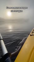 858589494.mp4