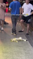 He loves Peace ✌️ 🎥 from DY AN ANIMAL²⁰²⁴.mp4