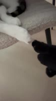 ASwjG60EiJA957pYbaeZhKx0o8.mp4