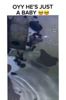 himreTvDKkT0YeJvFGCFgK.mp4