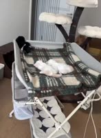 IMG0146.MP4