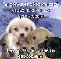 26206994cd593d5f1ce479c189ef3a28.jpg