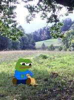 IMG2741.jpeg