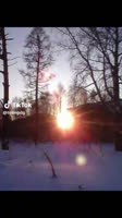 Download (15).mp4