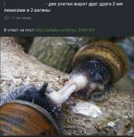 1746523559002.jpeg
