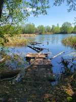 IMG20250504203145124.jpg