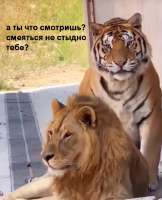 изображение.png