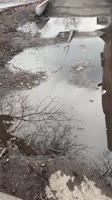 шойгу герасимов.mp4