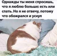0ACC7624-E68B-4841-8EC1-B3ABBD7515B8e24eddc6c1a.jpg