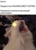 Мемы-Collector-Collectors-7605189.jpeg
