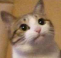 17532902895800.png
