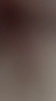 catkiss04.mp4
