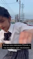 8143169325806.mp4