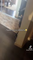 17452480515031.mp4