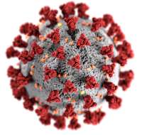 SARS-CoV-2(CDC-23312).png
