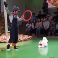 16857576111712.mp4