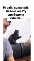 9fHdByzyikBMxZdVLTeBNHKbI7AA.mp4
