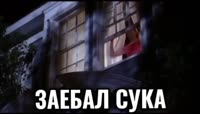 SnapTik.Net7502798485918387461.mp4