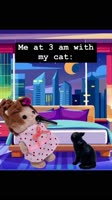 VID20241018222204360.mp4