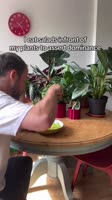 sssgram7Df1MemtTW2025-05-26-22-12-13.mp4