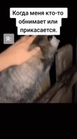 SaveClip.AppAQOhn4z9hm5QoAsn67Cadj2Eph3joTPVEkyIhfiV2G0N0sbg9Z8b-DEV1TxQGKu9GJBt1WIrq00Aqv9g4OVEjY8Dq78BpfnU2Uv8ve0.mp4