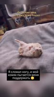1749788315958.mp4
