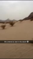 288237226.mp4
