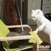 16238695674511.mp4