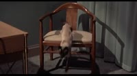 Bell, Book and Candle 59.mp4