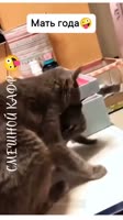 8404017351345.mp4