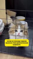 754321111.mp4