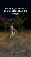 8719139474098.mp4