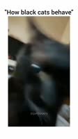 w98827722jj.mp4