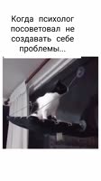 33h2j2u2i28.mp4