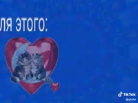 Download (12).mp4