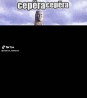 Download (58).mp4