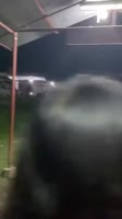 2W7fWX2U8106tlHkYnxvm88yaTl5.mp4