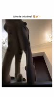 9202981.mp4