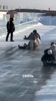 983762662q.mp4