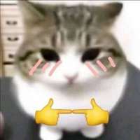 17475964680070.png