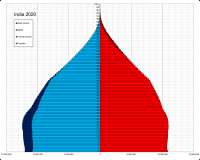 960px-Indiasingleagepopulationpyramid2020.png