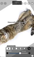 ssstik.io@nolixeh1747327716375.mp4