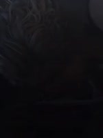без тебя я не могу дышать, я не могу уснуть.mp4