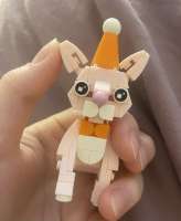IMG2660.jpeg