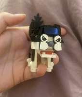 IMG2661.jpeg