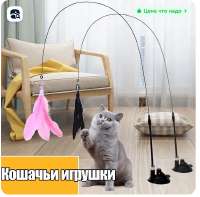 изображение.png