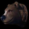Bear-Head.png