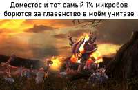 001555.jpeg