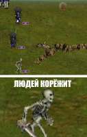 7857877.jpeg