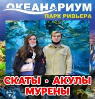 IMG20250520030417.jpg